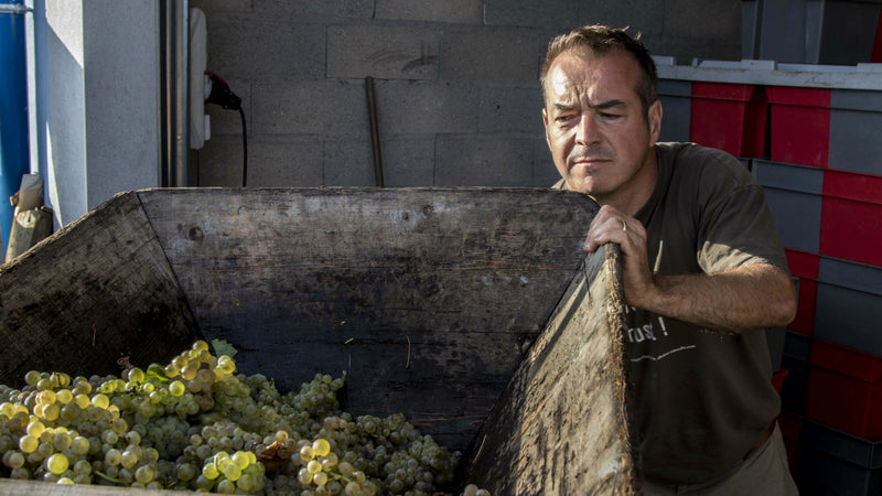 Domaine Jérôme Galeyrand