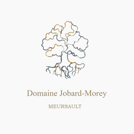 Domaine Jobard-Morey